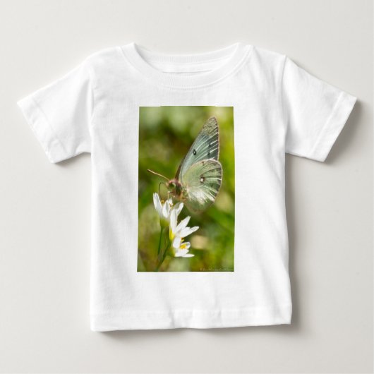ニセネギボウズギクの上の緑の蛾の服とギフト ベビーTシャツ (正面)