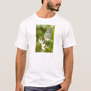 ニセネギボウズギクの上の緑の蛾の服とギフト Tシャツ