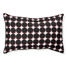 ニッキーの卒業式の日