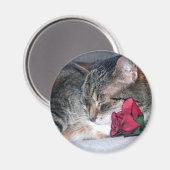 ニッキー&Aバラ磁石 マグネット (正面/裏面)