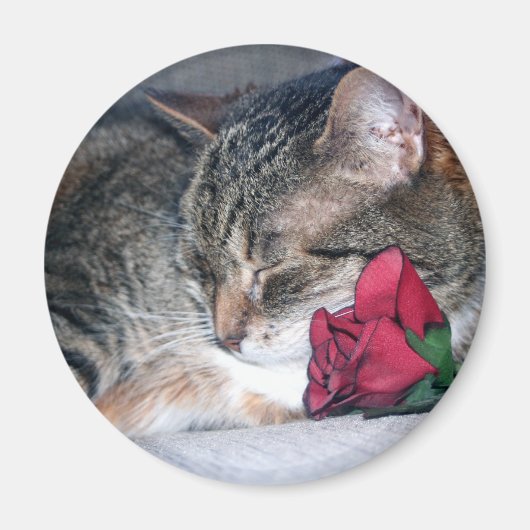 ニッキー&Aバラ磁石 マグネット (正面)