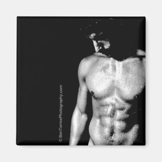 ニックはデイビッド マグネット