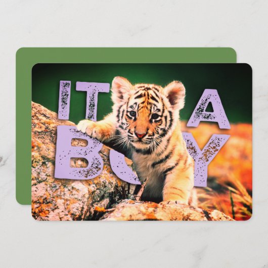 ニックデイヴィッドのベビー-トラのシャワーの招待状 招待状 (正面/裏面)