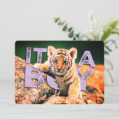 ニックデイヴィッドのベビー-トラのシャワーの招待状 招待状 (スタンド正面)