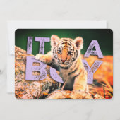 ニックデイヴィッドのベビー-トラのシャワーの招待状 招待状 (正面)