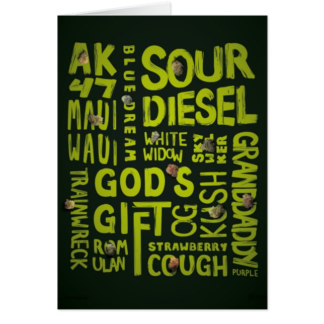 ニックネーム (正面)