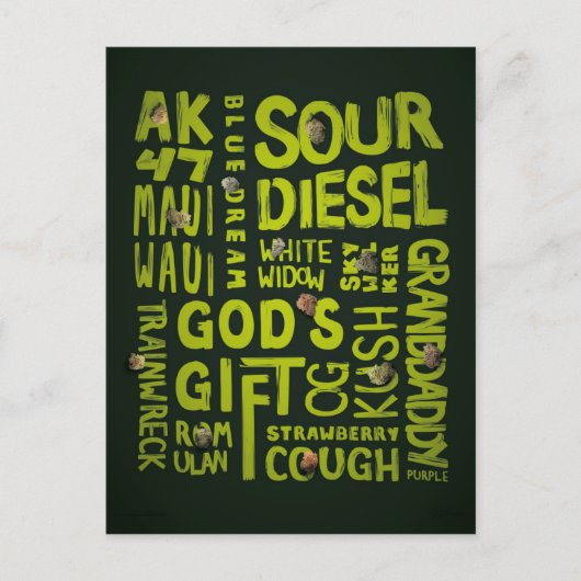 ニックネーム ポストカード (正面)