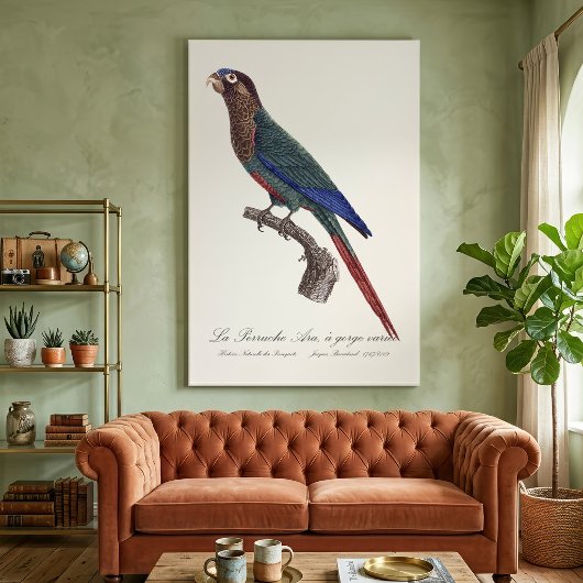 ニッケイインコ、Pyrrhura Picta キャンバスプリント