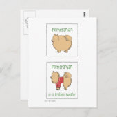 ニットセーターのポメラニア犬 ポストカード (正面/裏面)