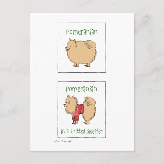 ニットセーターのポメラニア犬 ポストカード (正面)