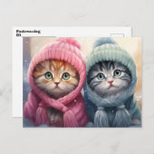 ニット帽をかぶった冬の子猫 ポストカード (正面/裏面)