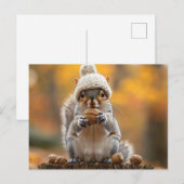 ニット帽子保持ナットのリス ポストカード (正面/裏面)