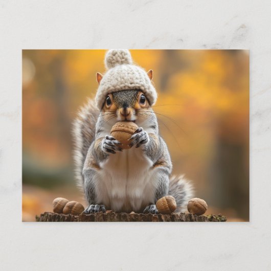 ニット帽子保持ナットのリス ポストカード (正面)