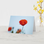 ニッドのフィールドのポピー カード (黄色い花)