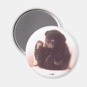 ニッパー磁石 マグネット (正面/裏面)