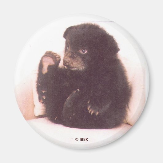 ニッパー磁石 マグネット (正面)