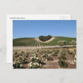 ニナーエステートハートヒルアンドホワイトローズ ポストカード (正面/裏面)