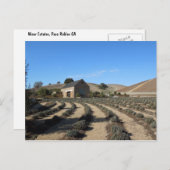 ニナーエステート、パソロブレス、CAイベントセンター ポストカード (正面/裏面)