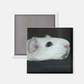 ニブラー磁石 マグネット (正面/裏面)