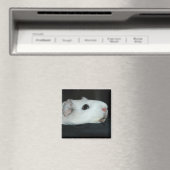 ニブラー磁石 マグネット (インサイチュ (食洗機))