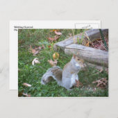 ニブリングリス ポストカード (正面/裏面)