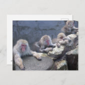 ニホンザル ポストカード (正面/裏面)