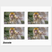 ニホンザル 長方形シール (シート)