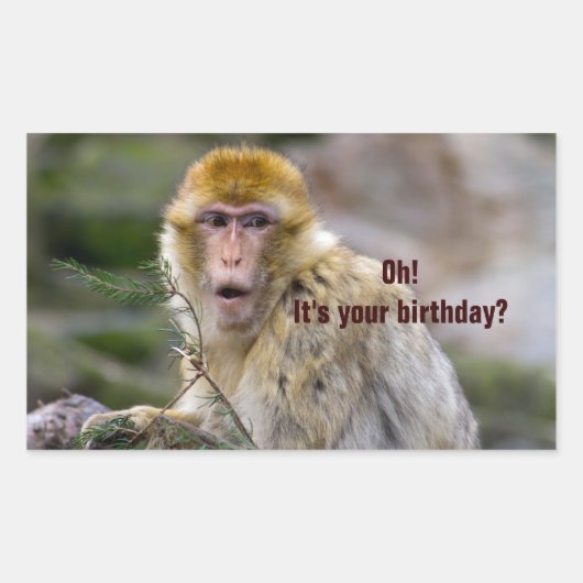 ニホンザル 長方形シール (正面)