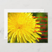 ニムのディレー死Zeit Dinge genauer zu b... ポストカード (正面/裏面)