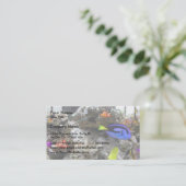 ニモウィズヒス集団 名刺 (スタンド正面)