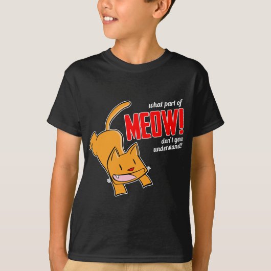ニャオのどこがわからないの? Tシャツ (正面)