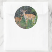 ニャラ(Tragelaphus angasii)子連れ、ンドゥモ ラウンドシール (バッグ)