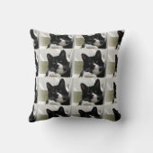 ニャーとかわいい写真タキシード猫の柄 クッション (裏面)
