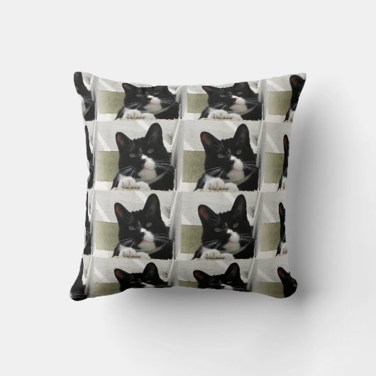 ニャーとかわいい写真タキシード猫の柄 クッション (裏面)