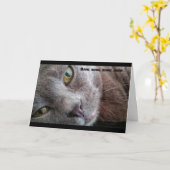 ニャーキティキャット誕生日カード カード (黄色い花)