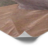 ニャーキャッツ11 ポスター (角)