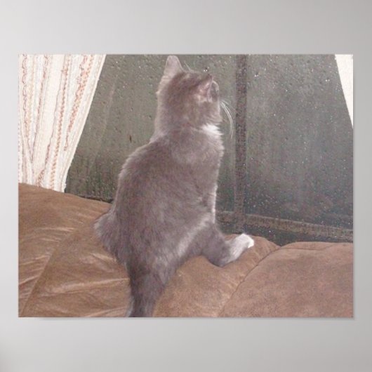 ニャーキャッツ11 ポスター (正面)