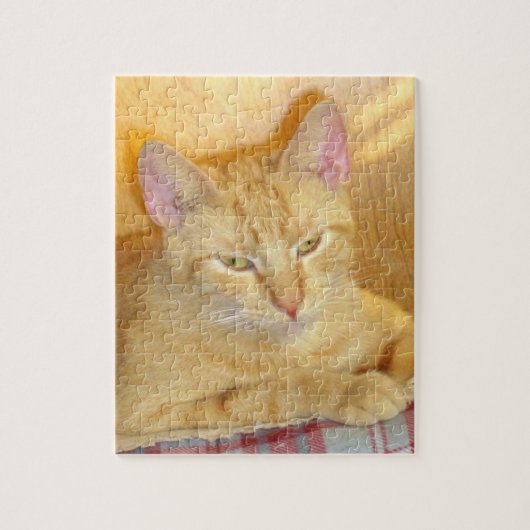 ニャーキャッツ15パズル ジグソーパズル (縦)