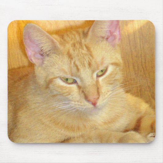 ニャーキャッツ15マウスパッド マウスパッド (正面)