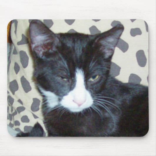 ニャーキャッツ20マウスパッド マウスパッド (正面)