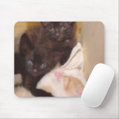 ニャーキャッツ38マウスパッド マウスパッド (マウス)