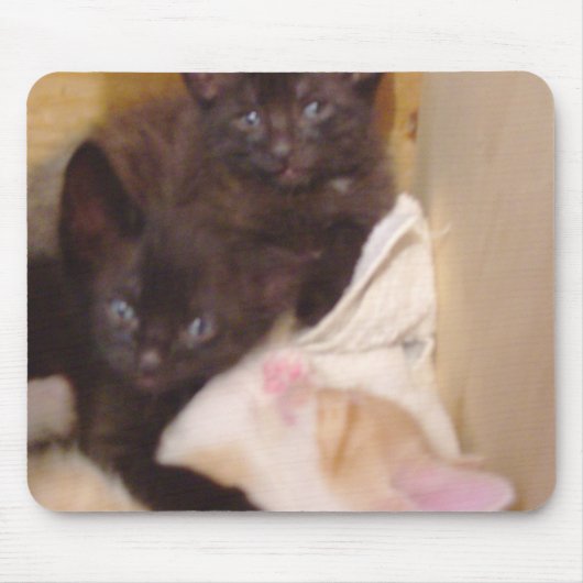 ニャーキャッツ38マウスパッド マウスパッド (正面)