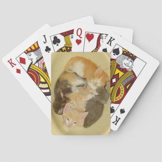 ニャーキャッツ4トランプ トランプ (裏面)