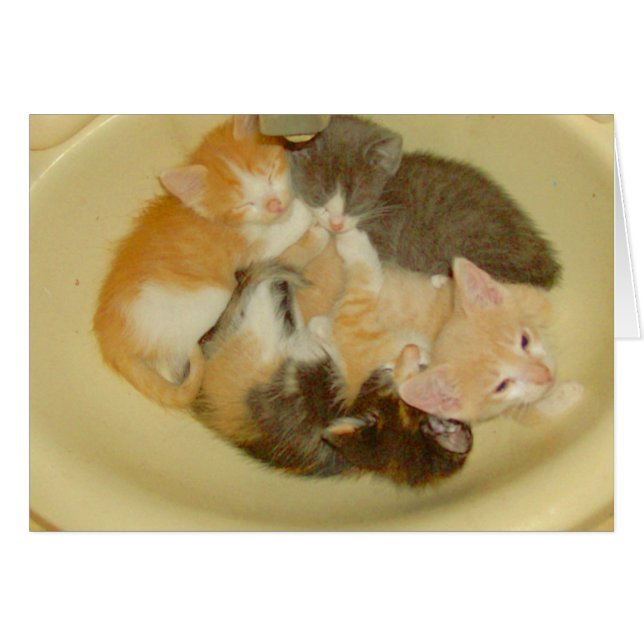 ニャーキャッツ4 (正面横)