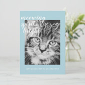 ニャースピリッツ明るい猫の写真の休日 シーズンカード (スタンド正面)