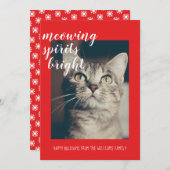 ニャースピリッツ明るい猫の写真の休日 シーズンカード (正面/裏面)