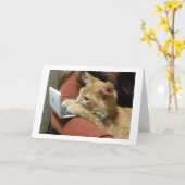 ニャー鳴きはお休み、クリスマスプレゼントを贈ります カード (黄色い花)