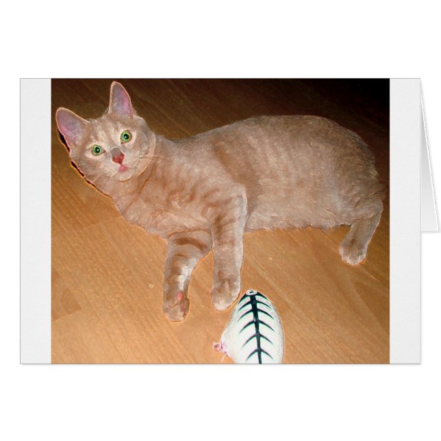 ニャー (正面横)