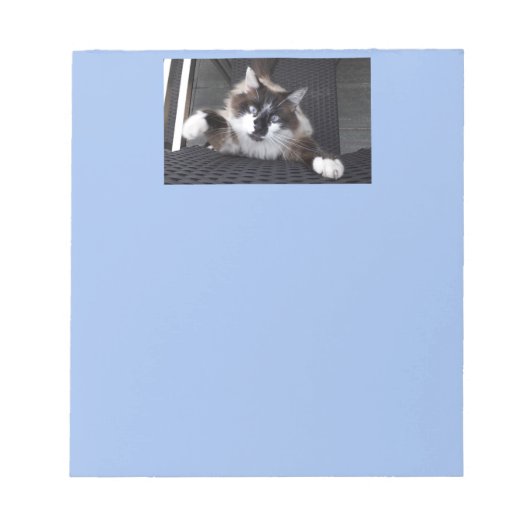 ニャー！- ノートパッド (正面)