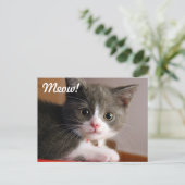 ニャー！ ポストカード (スタンド正面)